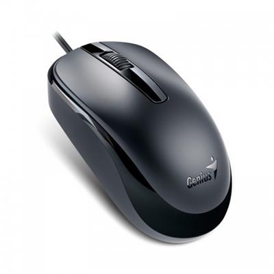 Genius Mouse DX-120 Negro USB