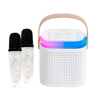Netmak Parlante Karaoke c/ Microfono Doble NM-MOLLY