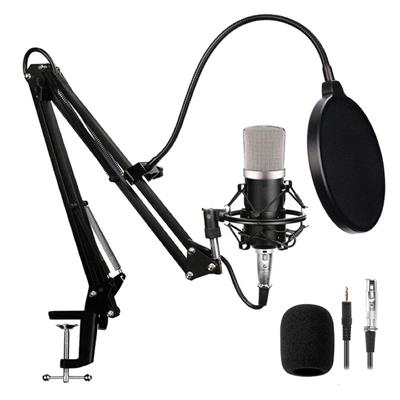 Microfono con Brazo Articulado Netmak Streaming NM-MS790